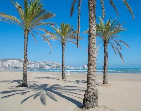 Florazar 2 Cullera