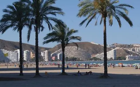 Florazar 2 *
